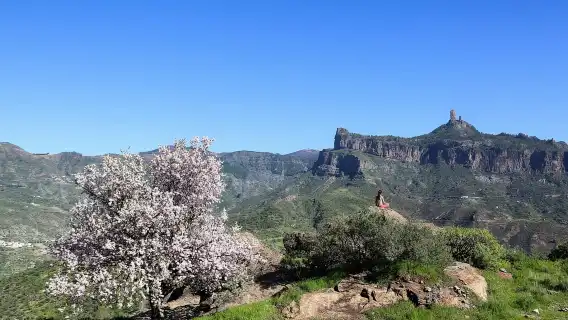 Gran Canaria Highlights Full-Day Tour by Bus