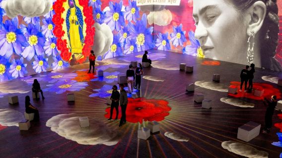 Espacio Alter: Frida Kahlo –The Immersive Biography