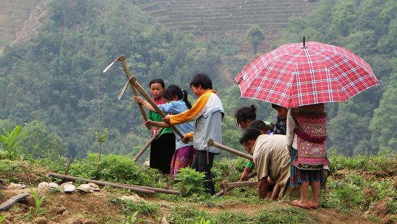SAPA KOSTENLOSE 1-TÄGIGE WANDERUNG MIT CHAN