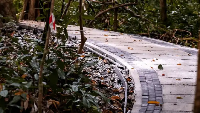 Langkawi: Dream Forest Langkawi Standard Admission Ticket