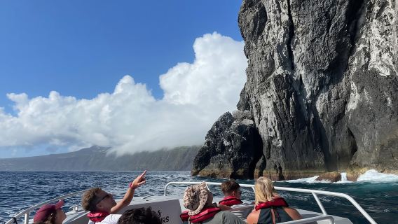 Isla de Faial: Paseo en barco único al volcán Capelinhos