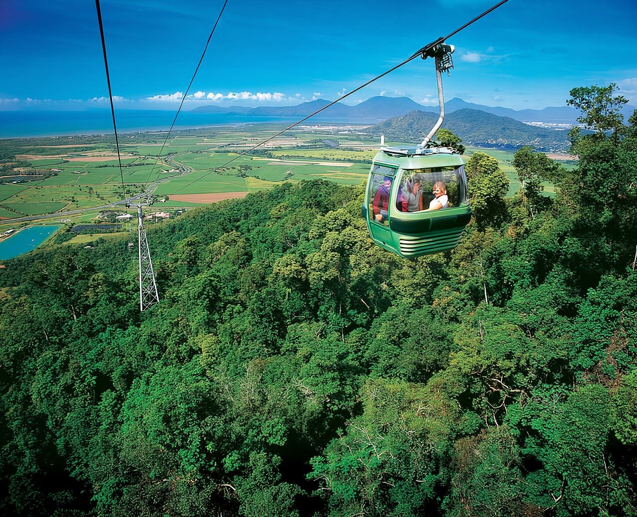 Skyrail Rainforest Cableway Round-Trip Experience