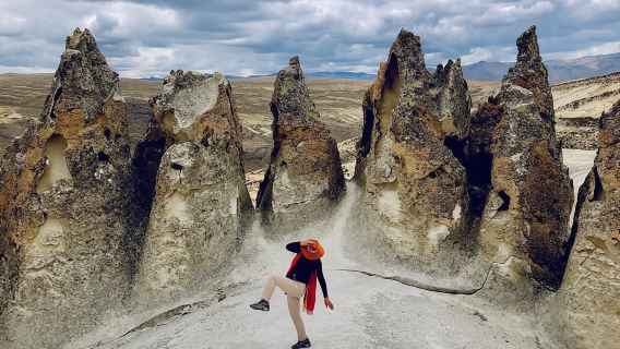 АРЕКИПА: ВОДОПАД ПИЛЬОНЕС И КАМЕННЫЙ ЛЕС