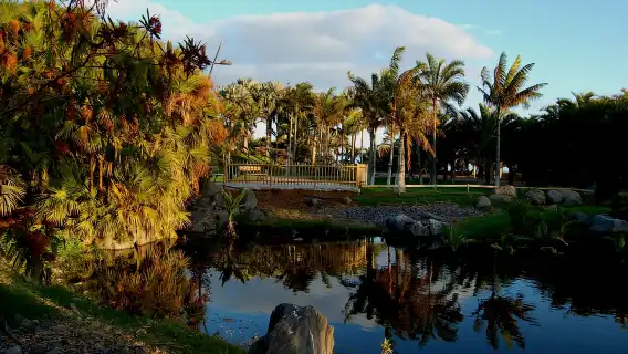 Santa Cruz de Tenerife Palmetum Entry Ticket