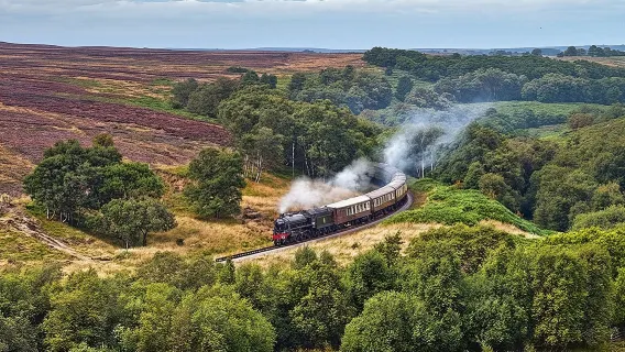 Moors, Whitby & The Yorkshire Steam Railway Day Trip from York