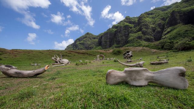 Hawaii, USA: Hollywood Movie Scenes Tour at Kualoa Ranch