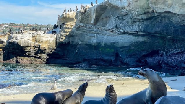 美國洛杉磯-聖地牙哥-勝利之吻-行程可調【中文包車自由行】