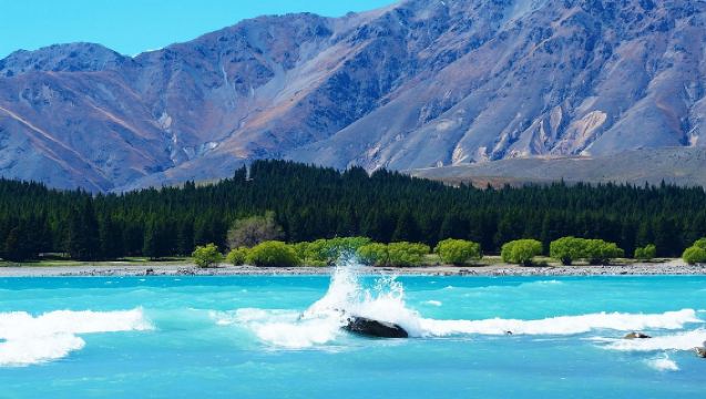 Perkhidmatan Sewaan Peribadi Bahasa Cina Sehala yang Boleh Disesuaikan untuk Perjalanan di Tekapo, Oamaru, dan Dunedin, New Zealand