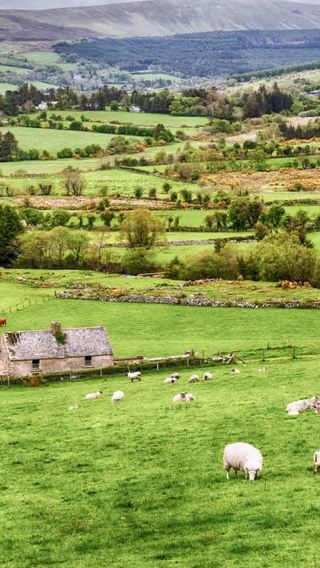 Dublin, Ireland: Wicklow Mountains + Glendalough + Kilkenny Day Tour