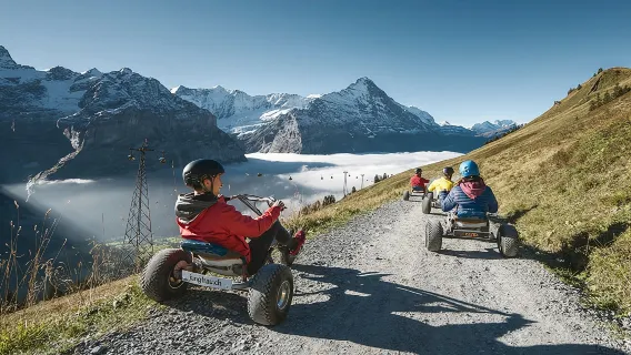 Switzerland: Dreamy hillside Grindelwald + First Mountain 1-day tour (round-trip from Zurich/Lucerne)