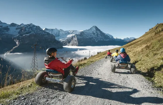 瑞士 夢幻山坡格林德瓦+菲斯特山一日遊(蘇黎世/盧塞恩來回)