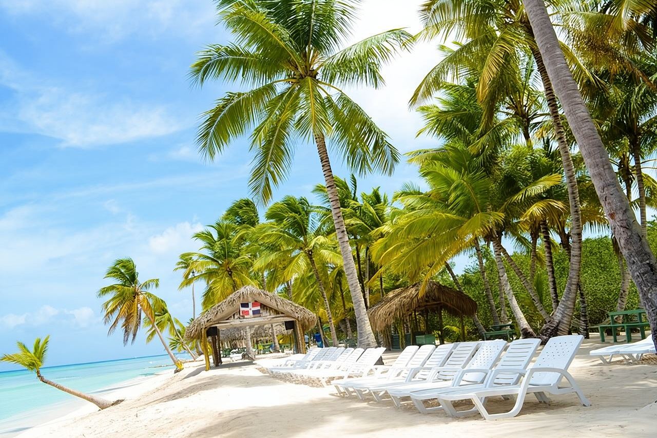Tour dell'isola di Saona in catamarano con pranzo a buffet e gita di un giorno intero