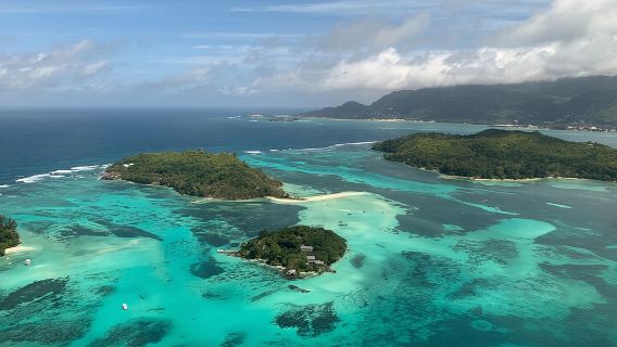 Reef Safari - Lặn biển, cho cá ăn và ăn trưa (Chuyến đi chung trong ngày)