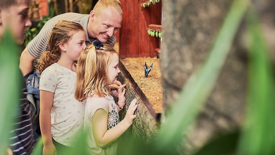 La Paz Waterfalls Gardens Tour (Half day)