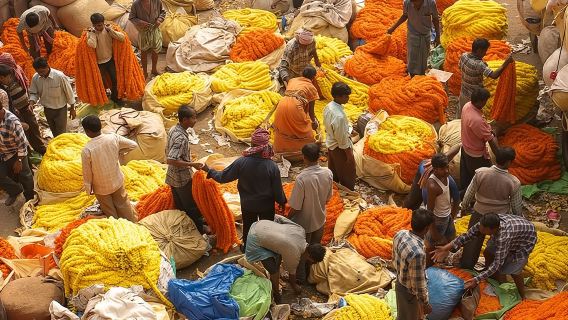 Kolkata - Sounds and Sights - Private Full Day City Tour