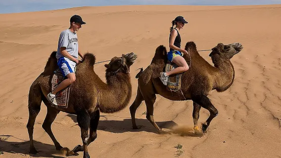 1 Day Semi-Gobi All-included tour 