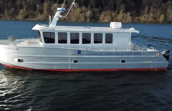 阿拉斯加朱諾3.5小時避開人群賞鯨之旅