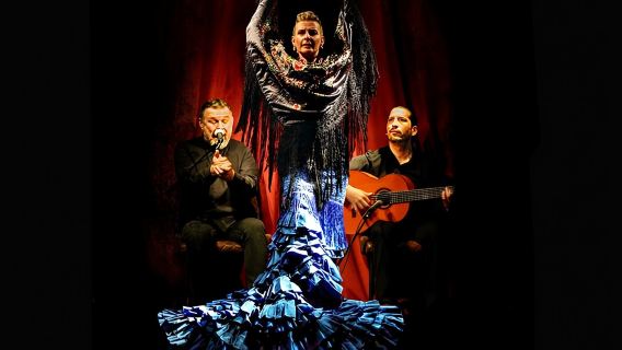 Flamenco Casa Sors & Guitar Museum with Optional Drink or Dinner