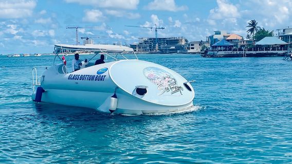 Visite en bateau à fond de verre de l'Oculus