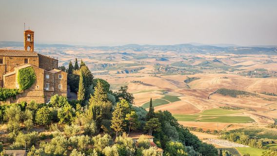 Brunello wine tasting experience in Montalcino