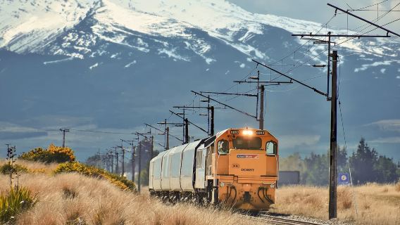 WellingtonTransport