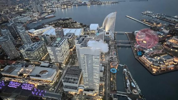 日本東京+橫濱港未來21一日遊/行程可調-可定制多日