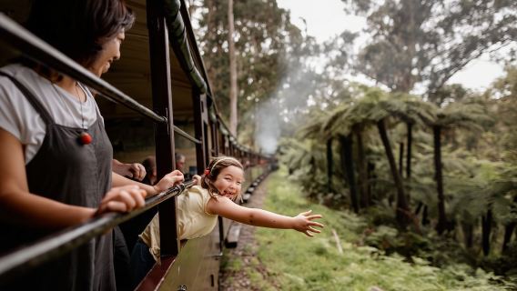 Melbourne, Australia Puffing Billy Steam Train & Phillip Island Penguin Parade Day Tour