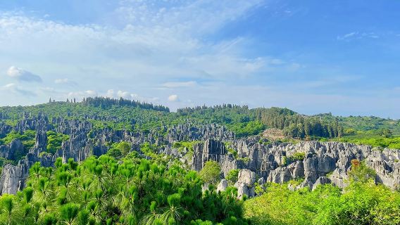 石林風景區一日遊：8人內小團+免費到府接駁+含門票+可升級私人導覽
