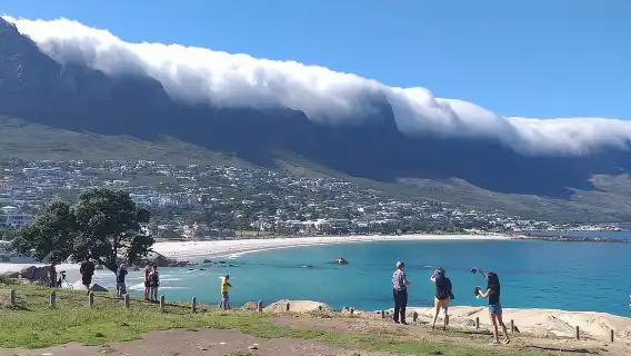 FULL Day Cape of Good Hope and Boulders Penguin Colony