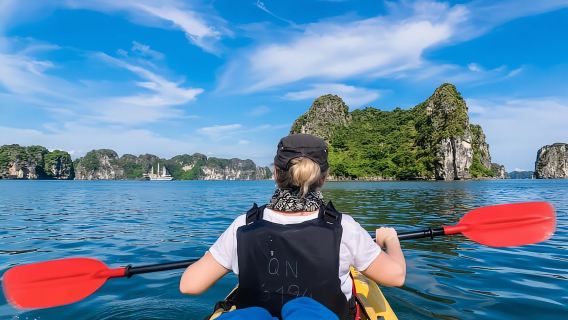 Da Hanoi: tour di 1 giorno nella baia di Ha Long con crociera di lusso