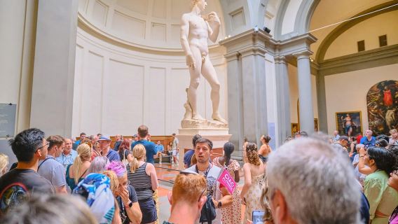 Firenze: Tour Privato della Galleria dell'Accademia