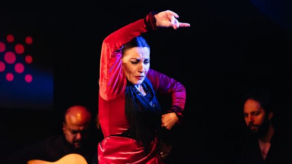 Siviglia: tour a piedi delle tapas con spettacolo tradizionale di flamenco