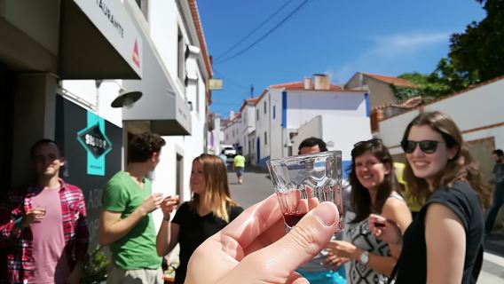 Từ Lisbon - Regaleira, Cabo da Roca, Forest & True Sintra