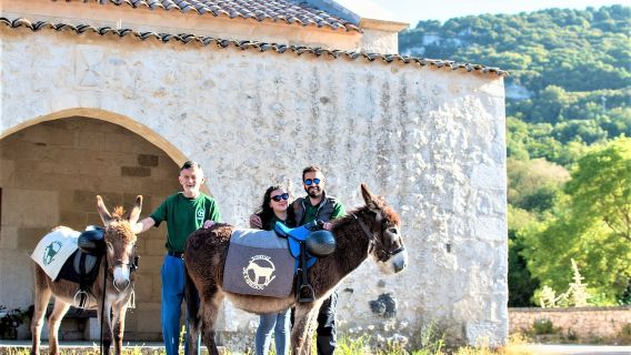 Sassari: hiking with donkeys in Cargeghe and aperitif