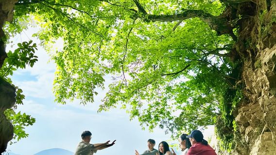 부산: 거제 해안 휴양, 바닷바람 & 외도 보타니아 섬