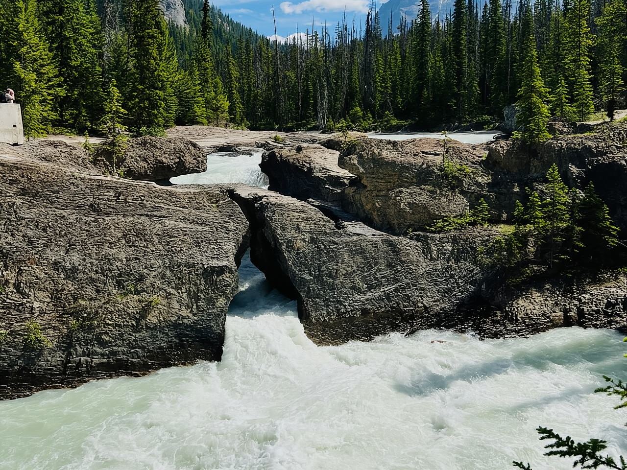 Calgary: Lake Louise, Emerald, Marble Canyon, and Yoho Tour