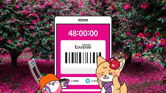 제주투어패스 프리패스 자유이용권