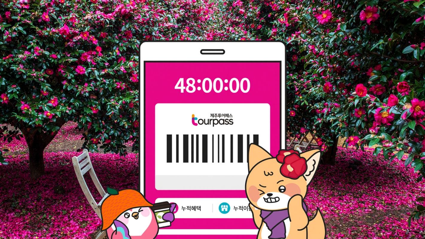 제주투어패스 프리패스 자유이용권