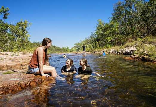 1-day tour to Litchfield National Park + crocodile cruise from Darwin AUD 222.23