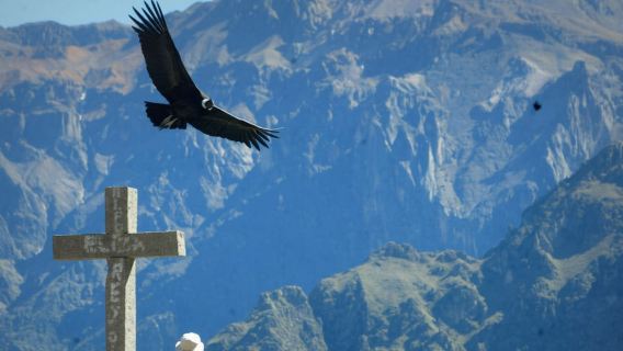 Arequipa: Excursion Colca Canyon + Chacapi Thermal Baths