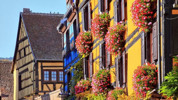 Alsace's Gems Small Group Day Tour from Colmar