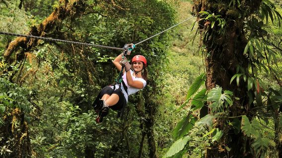 Tour combinato del Parco Selvatura da Monteverde