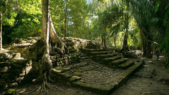 Costa Maya Shore Excursion: Chacchoben Day Trip