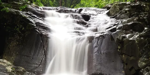 華欣出發:私人導遊帶領遊覽崗卡章叢林帕拉烏瀑布