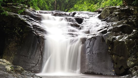 Pala U Waterfall in Kaeng Krachan Jungle with Private Guide from Hua Hin