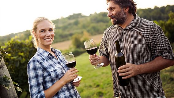 Lawatan Wain Kumpulan Sehari Penuh (dengan keju dan charcuterie) di Niagara-on-the-Lake