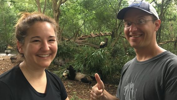 Half-Day All-inclusive Chengdu Panda Breeding Center Tour