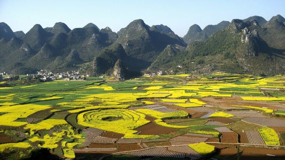 Wanfenglin and Maling River Canyon Private Day Tour from Guiyang