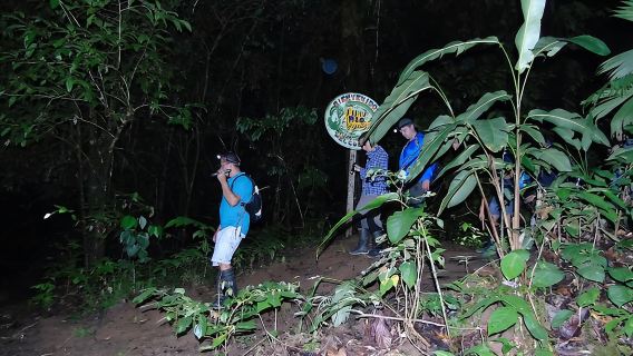 Nativos Corcovado Night Hike in DrakeBay