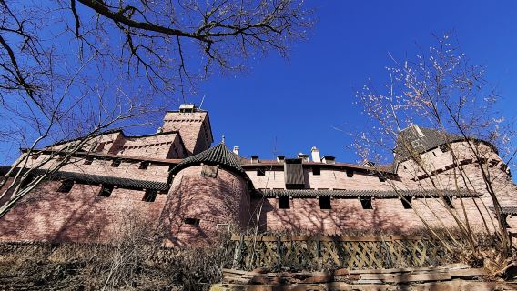 Alsace villages full day tour with wine tasting